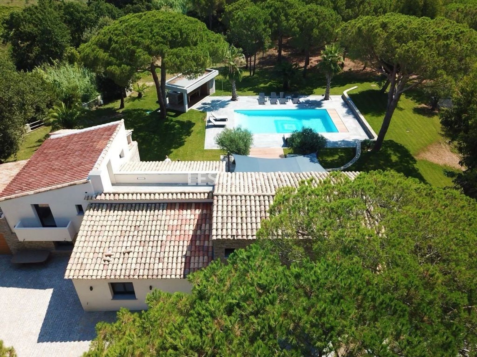 Image_19, Villa, Ramatuelle, ref :DOMAINE DES PINS
